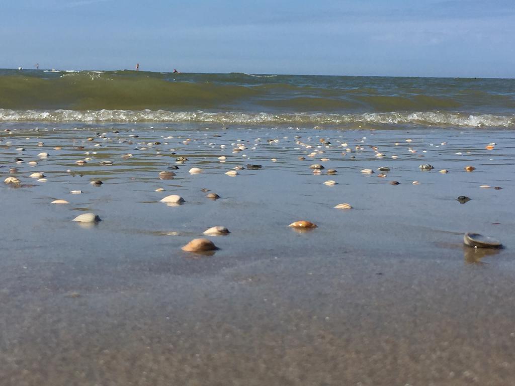 Sea You Hotel Noordwijk Εξωτερικό φωτογραφία